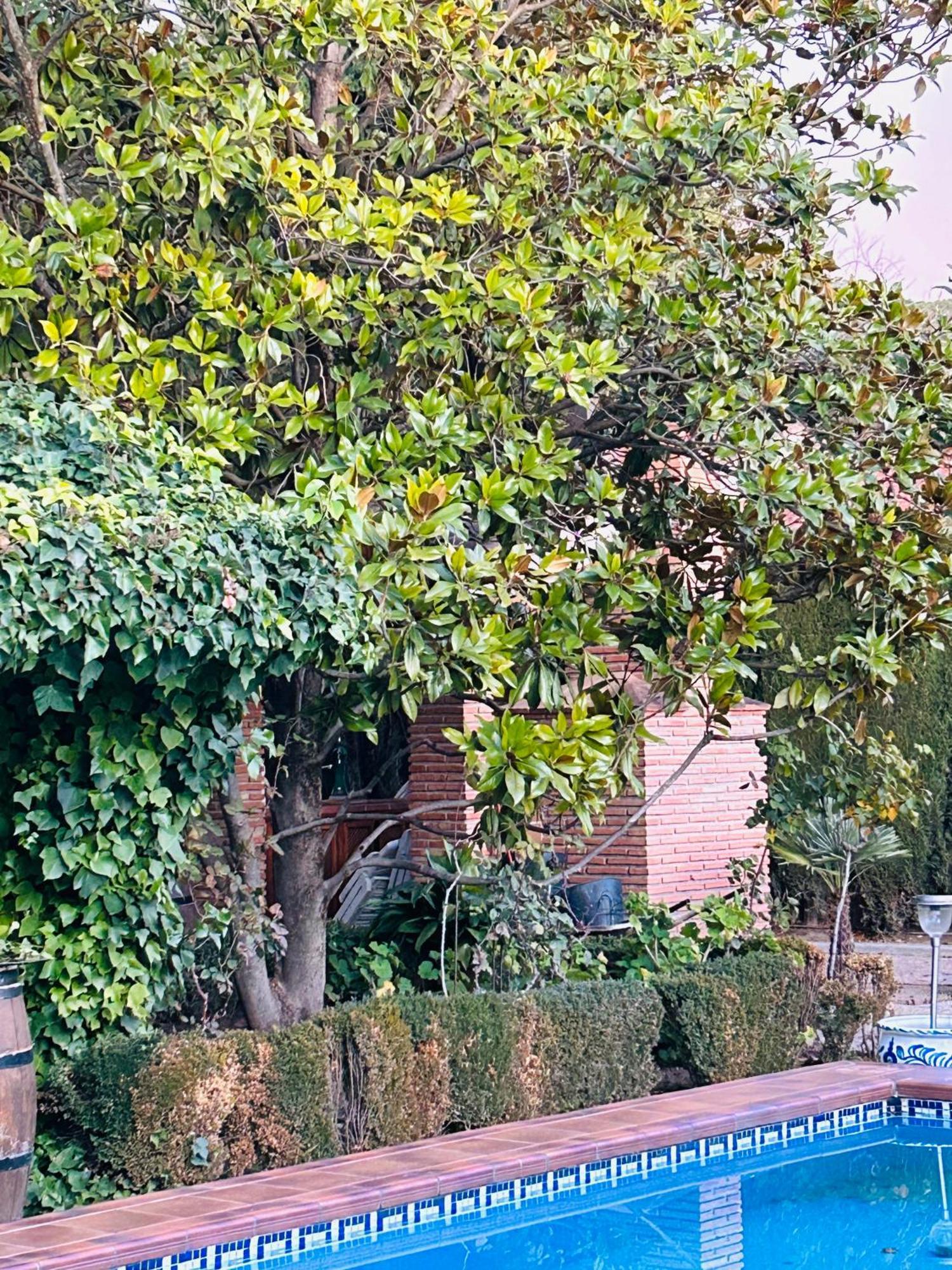 Casa Los Rosales Alfacar Εξωτερικό φωτογραφία