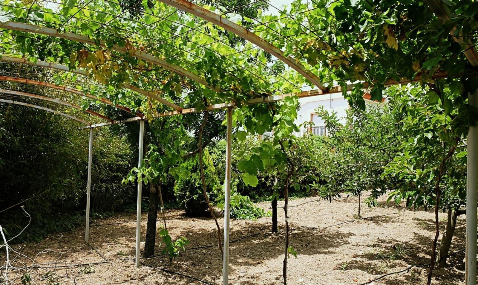 Casa Los Rosales Alfacar Εξωτερικό φωτογραφία