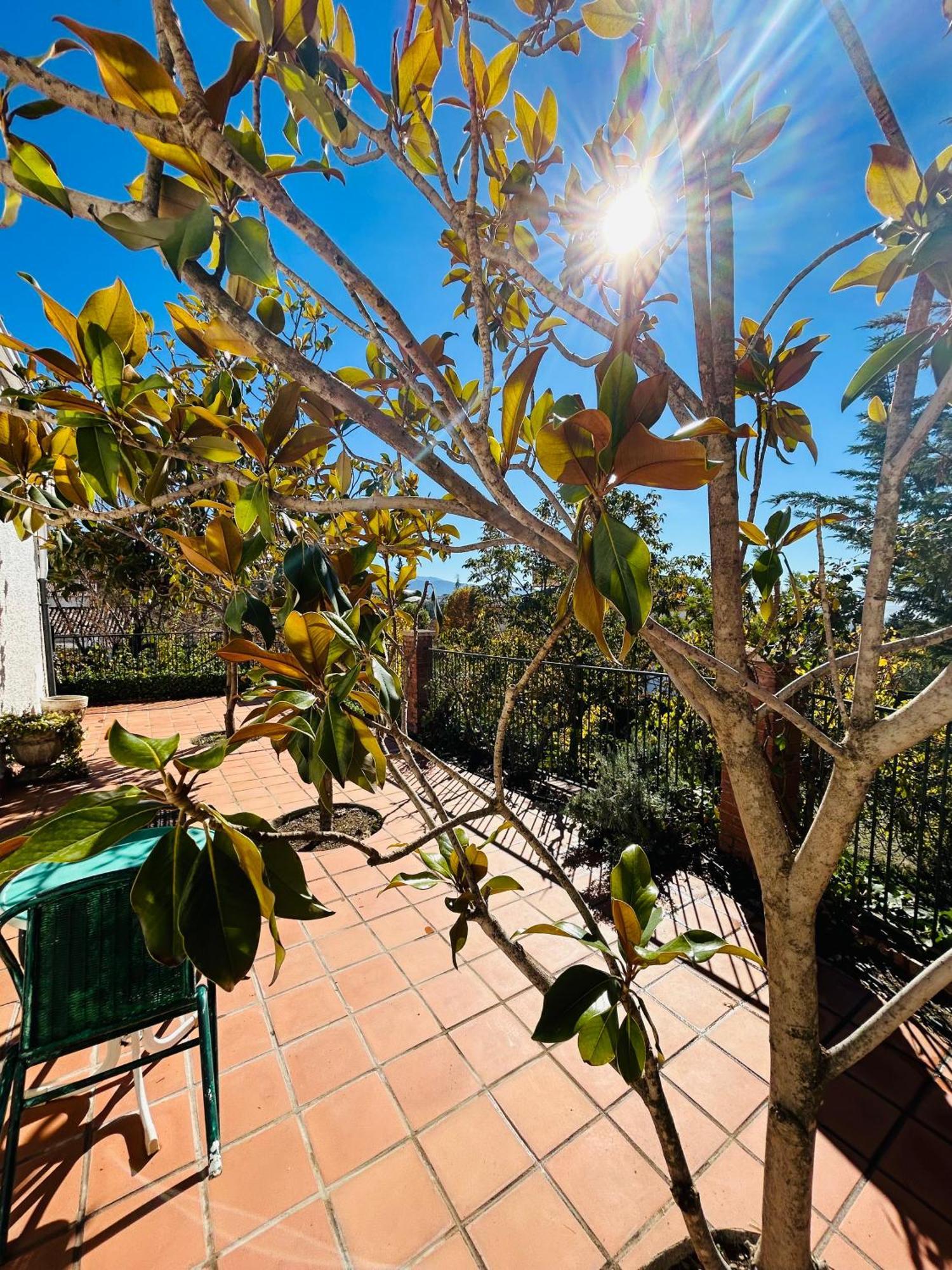 Casa Los Rosales Alfacar Εξωτερικό φωτογραφία