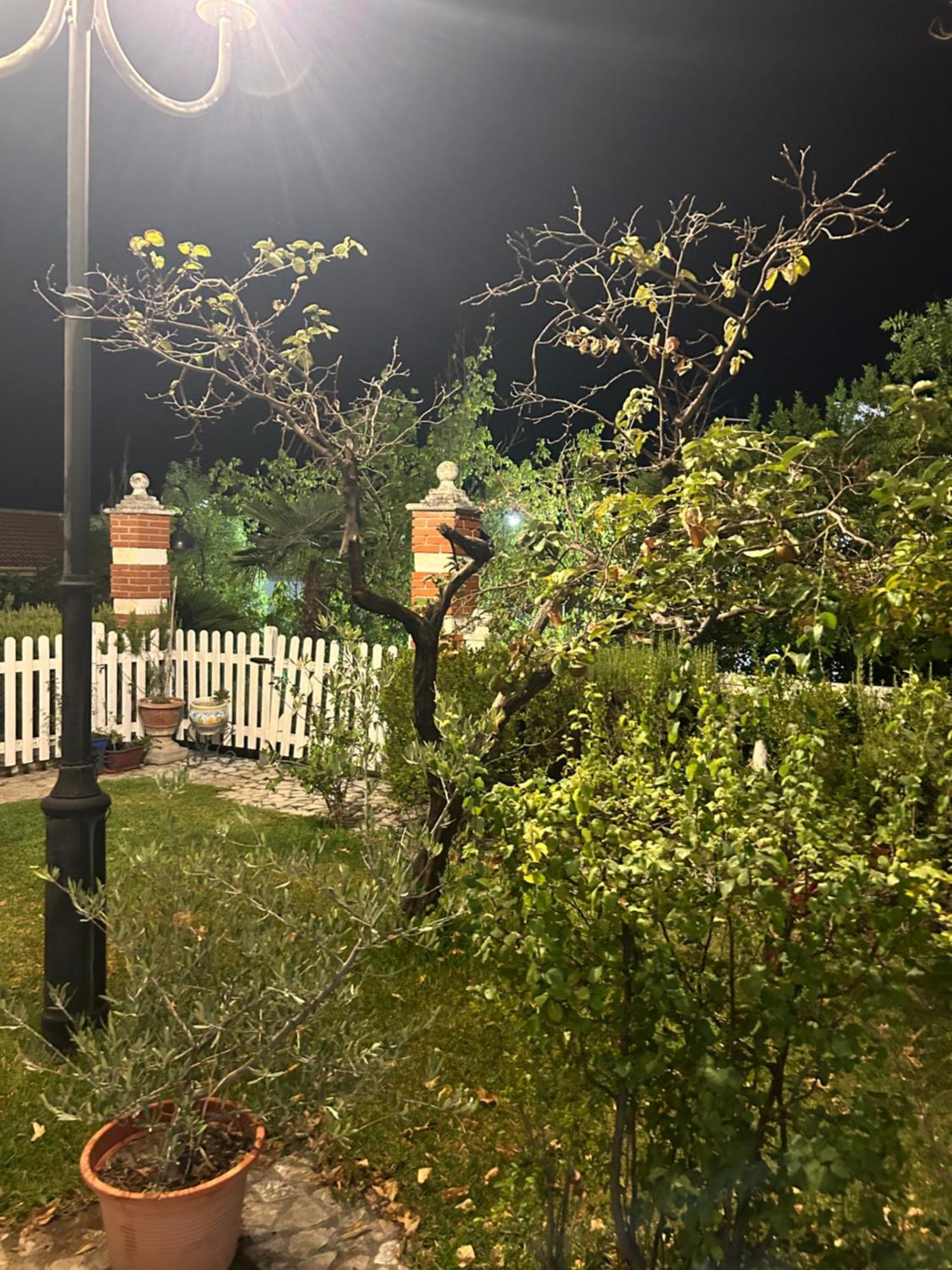 Casa Los Rosales Alfacar Εξωτερικό φωτογραφία