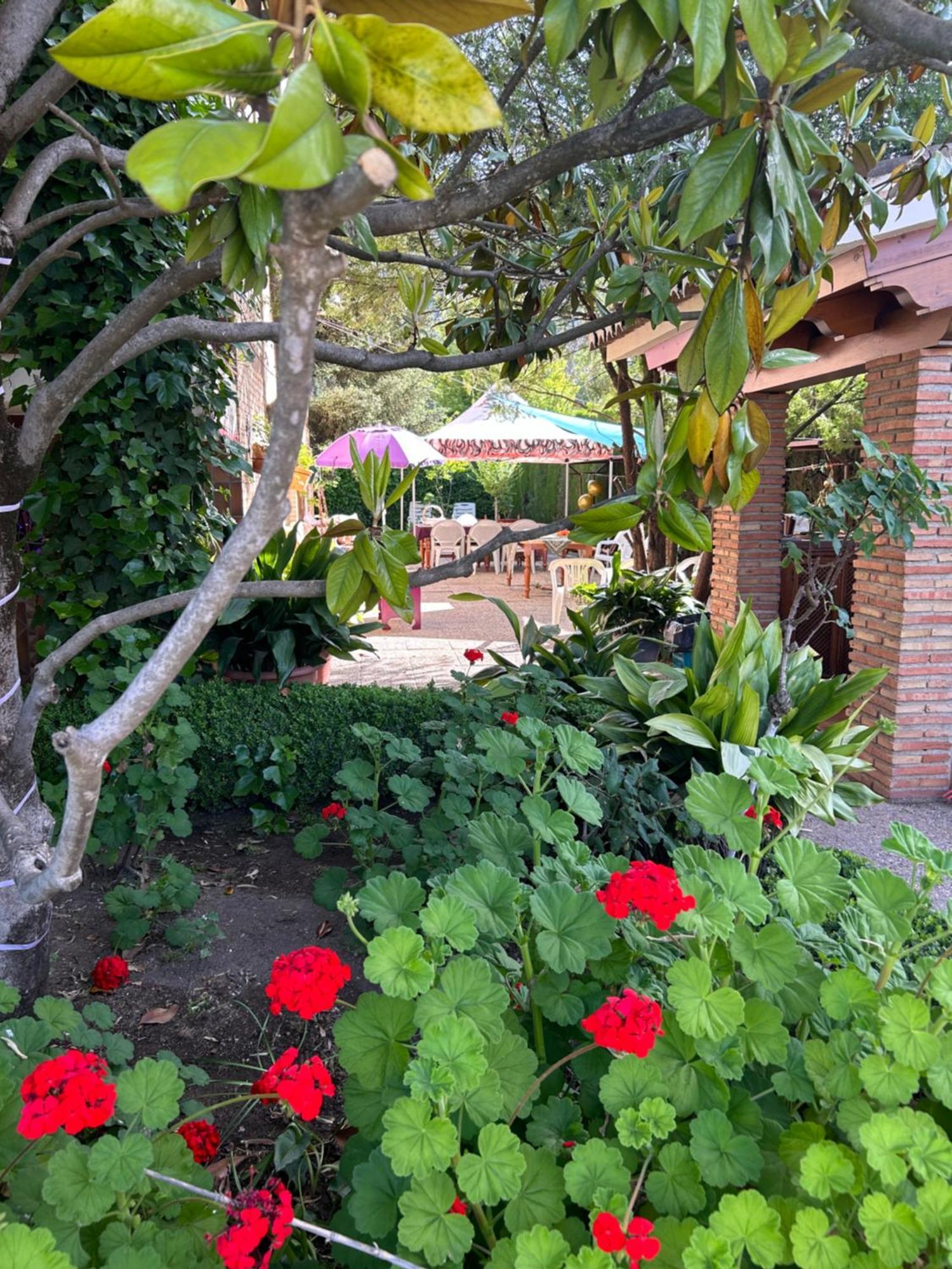 Casa Los Rosales Alfacar Εξωτερικό φωτογραφία